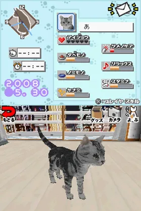 Yume Neko DS (Japan) screen shot game playing